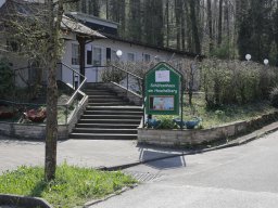IMG_6951